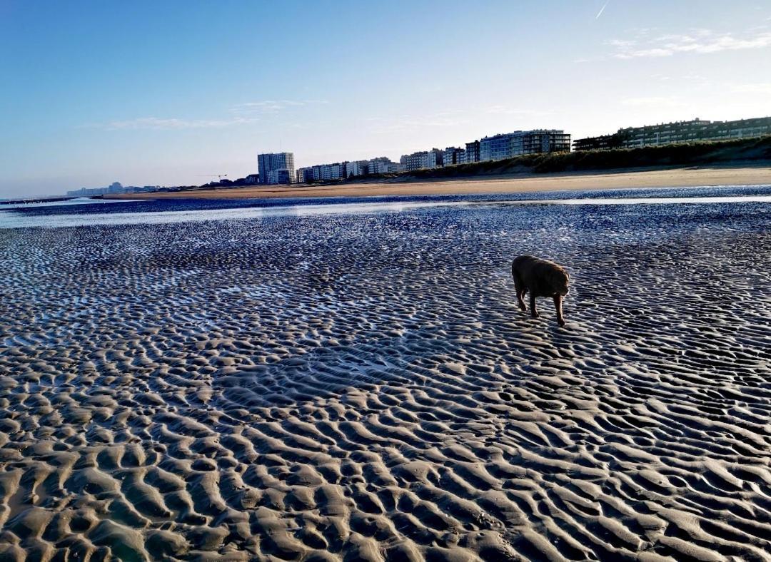 Hhvdk Aan Zee Διαμέρισμα Oostduinkerke Εξωτερικό φωτογραφία